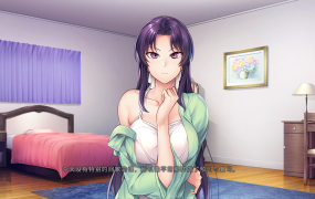 [超拔作SLG中文]催眠学习：SecretDesire 官方中文版+全CG存档★黑丝NTR[电脑2.9G/FM/BD]