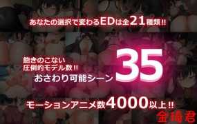 [调教SLG/全动态/更新]女忍者堕落：忍堕とし V1.1完全版+附带存档[1.5G/夸克]